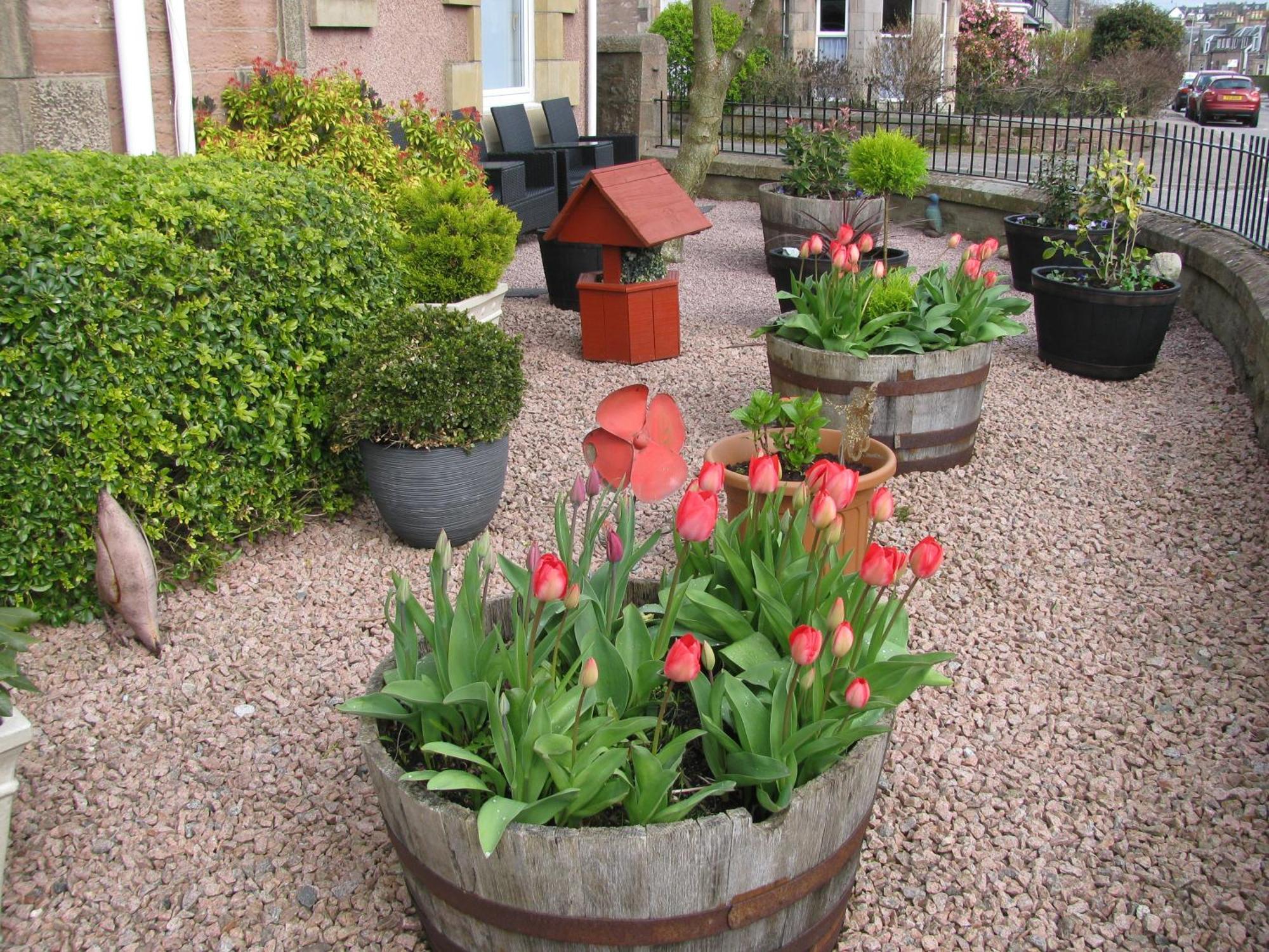 Fairfield Townhouse Guest House Inverness Esterno foto